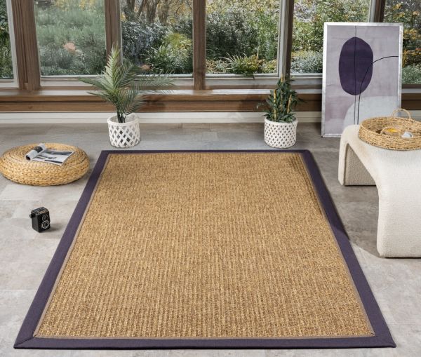Beta Serisi Bordürlü Sisal Halı NX-5649
