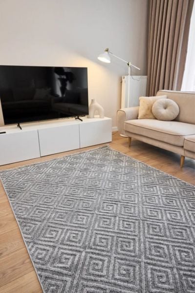 Madra Serisi Hav Toz Vermeyen Modern Dayanıklı Gri Halı AP-6814