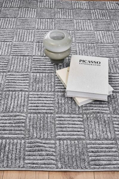 Madra Serisi Hav Toz Vermeyen Modern Dayanıklı Gri Halı AP-6824