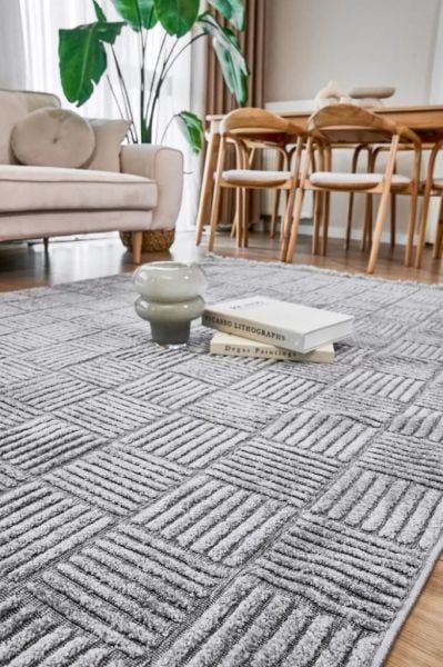 Madra Serisi Hav Toz Vermeyen Modern Dayanıklı Gri Halı AP-6824